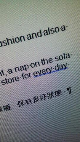 English consulting work 英文顧問服務